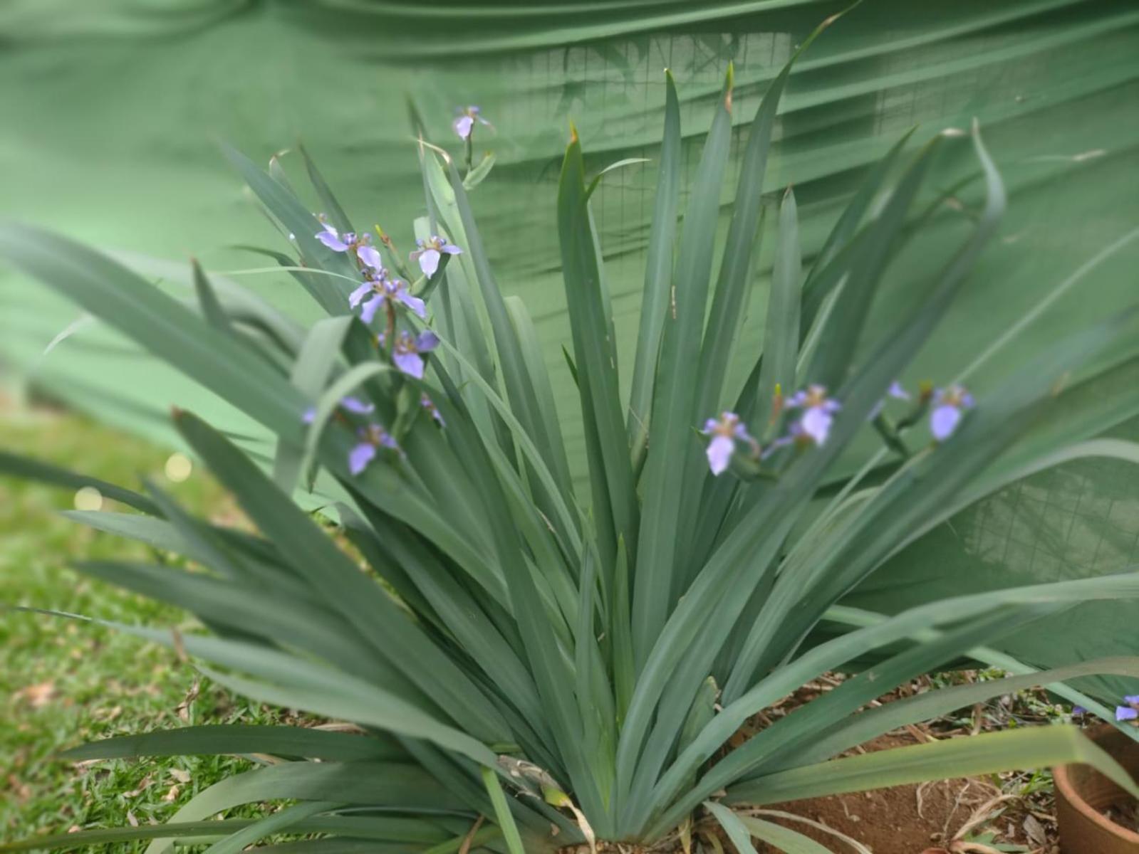 Verde Reserva Taubaté المظهر الخارجي الصورة